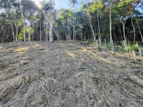 Imagem 2 - Terreno em Prata dos Aredes, Teresópolis - RJ