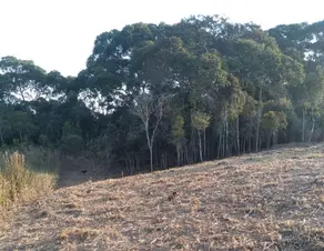 Imagem 2 - Terreno Condomínio em Pessegueiros, Teresópolis - RJ