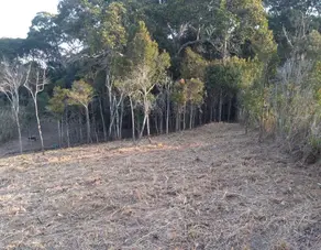 Terreno Condomínio Pessegueiros, Teresópolis - RJ — foto 2