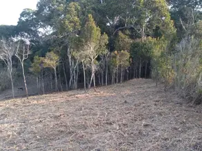 Imagem 4 - Terreno Condomínio em Pessegueiros, Teresópolis - RJ