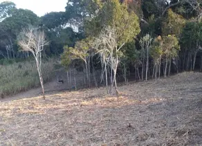 Imagem 5 - Terreno Condomínio em Pessegueiros, Teresópolis - RJ