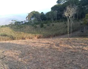 Imagem 3 - Terreno Condomínio em Pessegueiros, Teresópolis - RJ