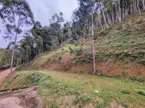 Imagem 3 - Terreno em Pessegueiros, Teresópolis - RJ