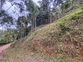 Imagem 4 - Terreno em Pessegueiros, Teresópolis - RJ