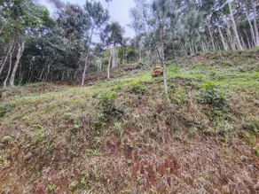 Imagem 2 - Terreno em Pessegueiros, Teresópolis - RJ