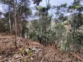 Imagem 5 - Terreno em Pessegueiros, Teresópolis - RJ