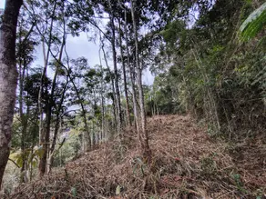 Imagem 6 - Terreno em Pessegueiros, Teresópolis - RJ