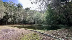 Imagem 3 - Terreno em Vieira, Teresópolis - RJ