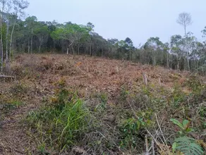 Imagem 5 - Terreno em Três Córregos, Teresópolis - RJ