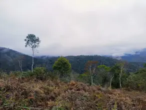 Terreno Três Córregos, Teresópolis - RJ — foto 1
