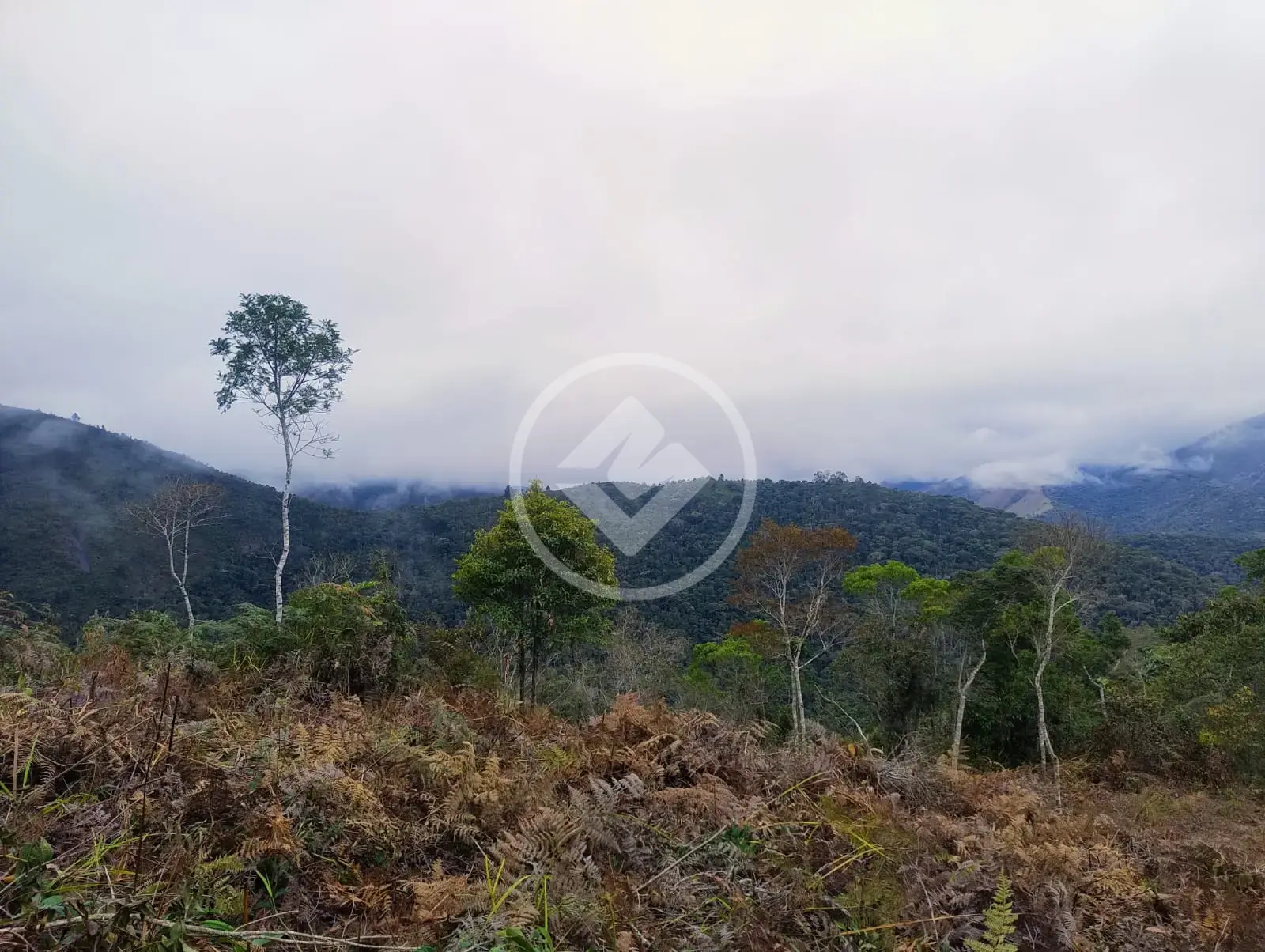 Imagem 1 - Terreno em Três Córregos, Teresópolis - RJ
