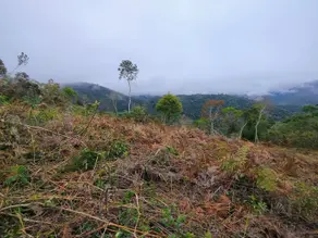 Imagem 4 - Terreno em Três Córregos, Teresópolis - RJ