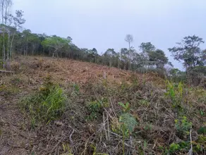 Imagem 6 - Terreno em Três Córregos, Teresópolis - RJ