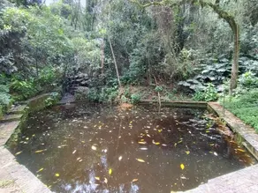 Imagem 5 - Terreno Comercial em Barroso, Teresópolis - RJ