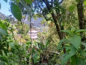 Imagem 6 - Terreno Comercial em Barroso, Teresópolis - RJ