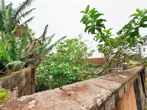 Imagem 5 - Terreno em Alto, Teresópolis - RJ