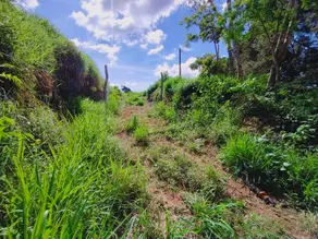 Imagem 4 - Sítio em Bonsucesso, Teresópolis - RJ