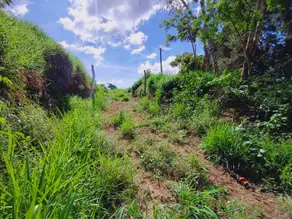 Imagem 5 - Sítio em Bonsucesso, Teresópolis - RJ