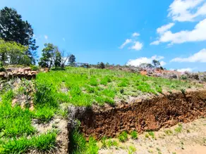 Imagem 4 - Terreno em Albuquerque, Teresópolis - RJ
