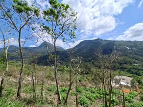 Imagem 6 - Terreno Condomínio em Posse, Teresópolis - RJ