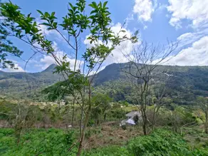 Imagem 3 - Terreno Condomínio em Posse, Teresópolis - RJ