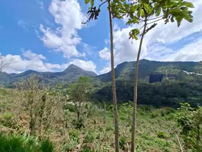 Imagem 6 - Terreno Condomínio em Posse, Teresópolis - RJ