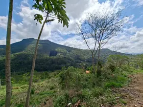 Imagem 4 - Terreno Condomínio em Posse, Teresópolis - RJ