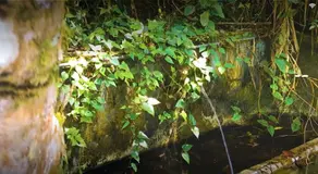 Imagem 2 - Sítio em Fazenda Boa Fé, Teresópolis - RJ