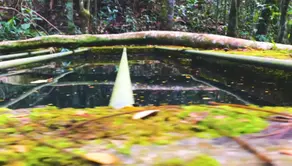 Imagem 4 - Sítio em Fazenda Boa Fé, Teresópolis - RJ