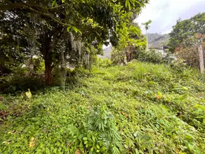 Imagem 5 - Terreno em Iucas, Teresópolis - RJ
