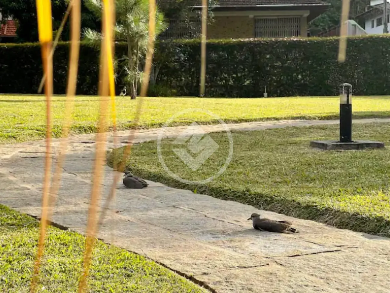 Imagem 4 - Apartamento em Posse, Teresópolis - RJ