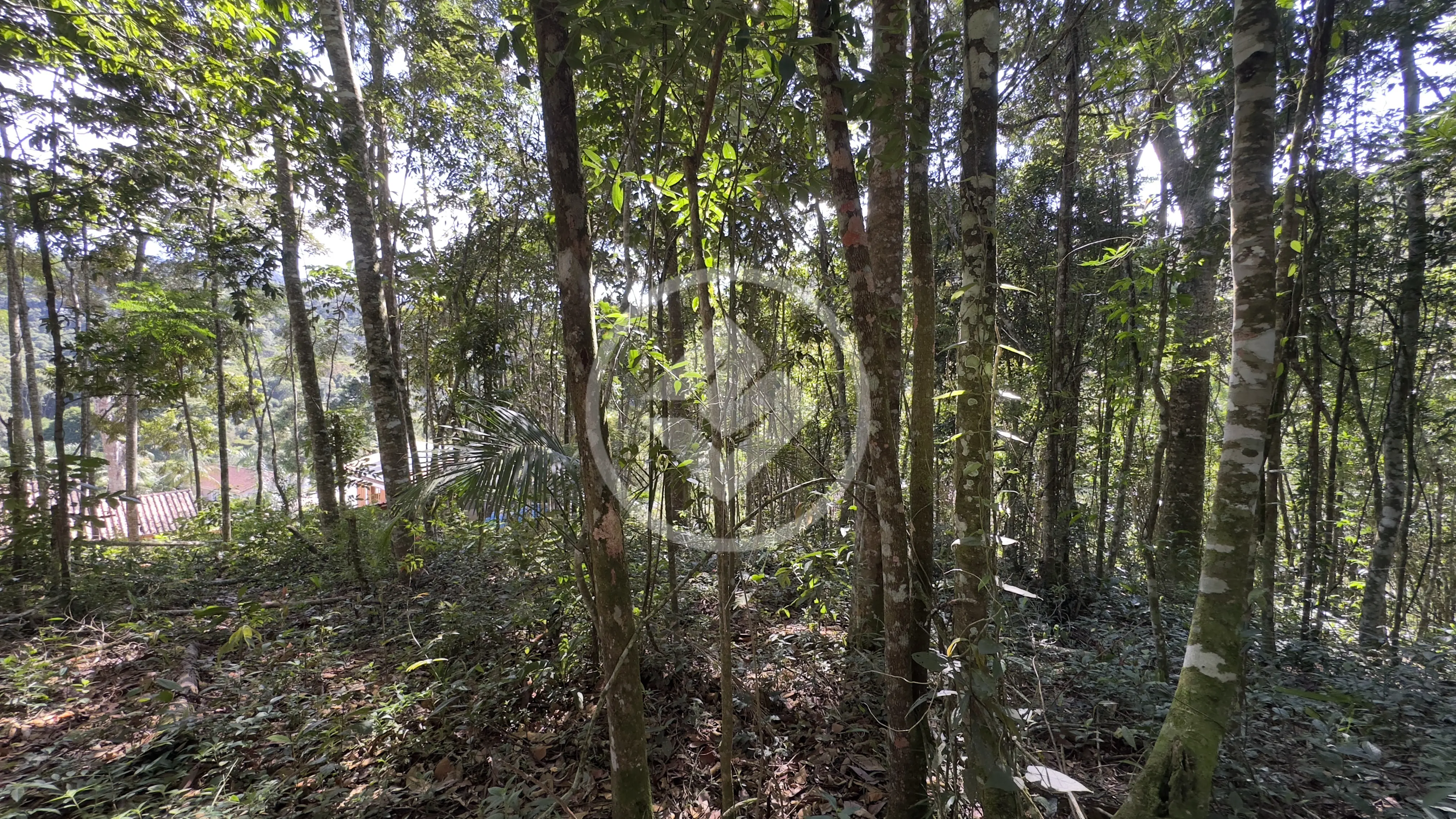 Imagem 3 - Terreno Condomínio em Fazenda Boa Fé, Teresópolis - RJ