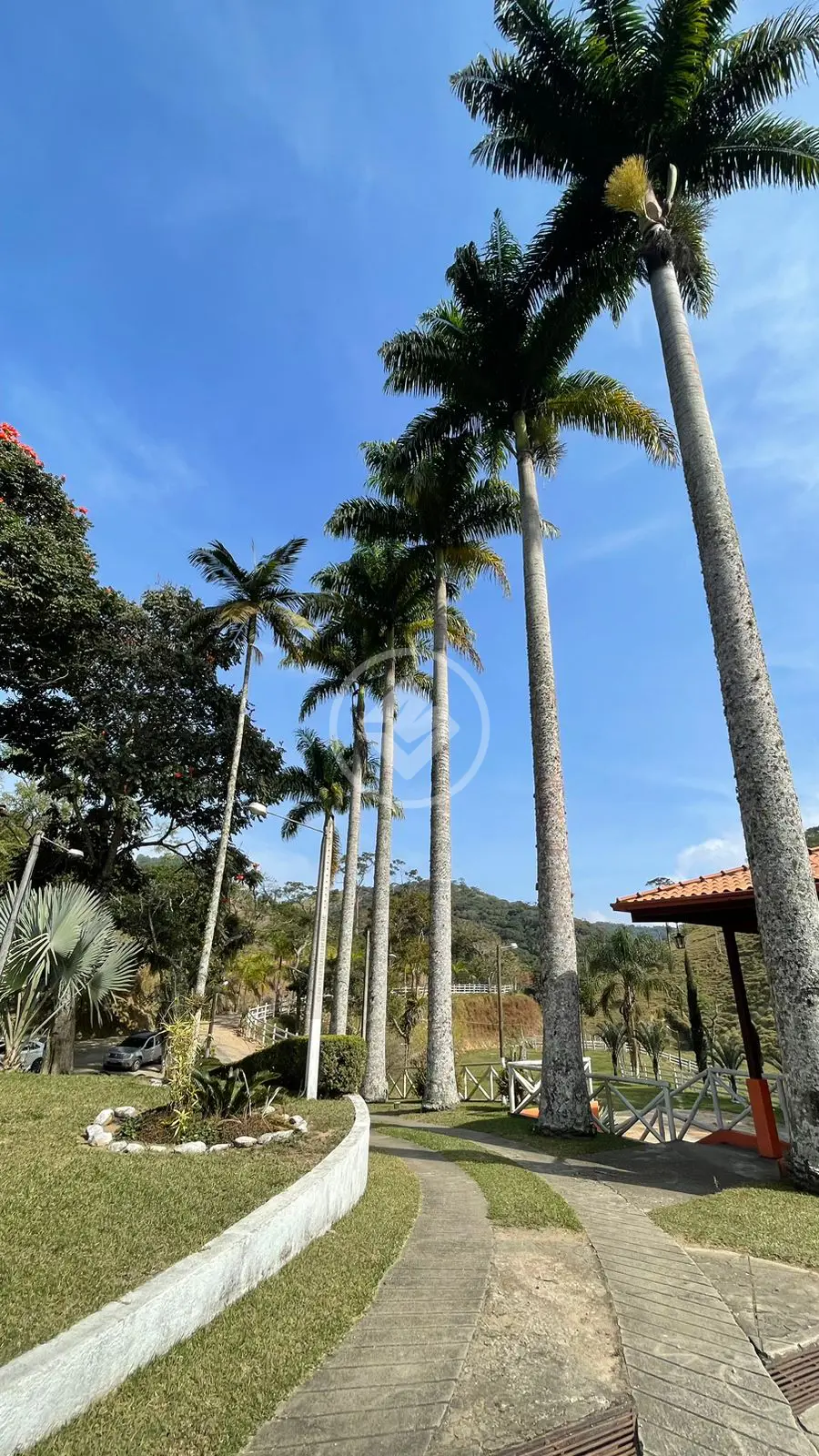 Imagem 3 - Fazenda em Vila do Pião, Sapucaia - RJ