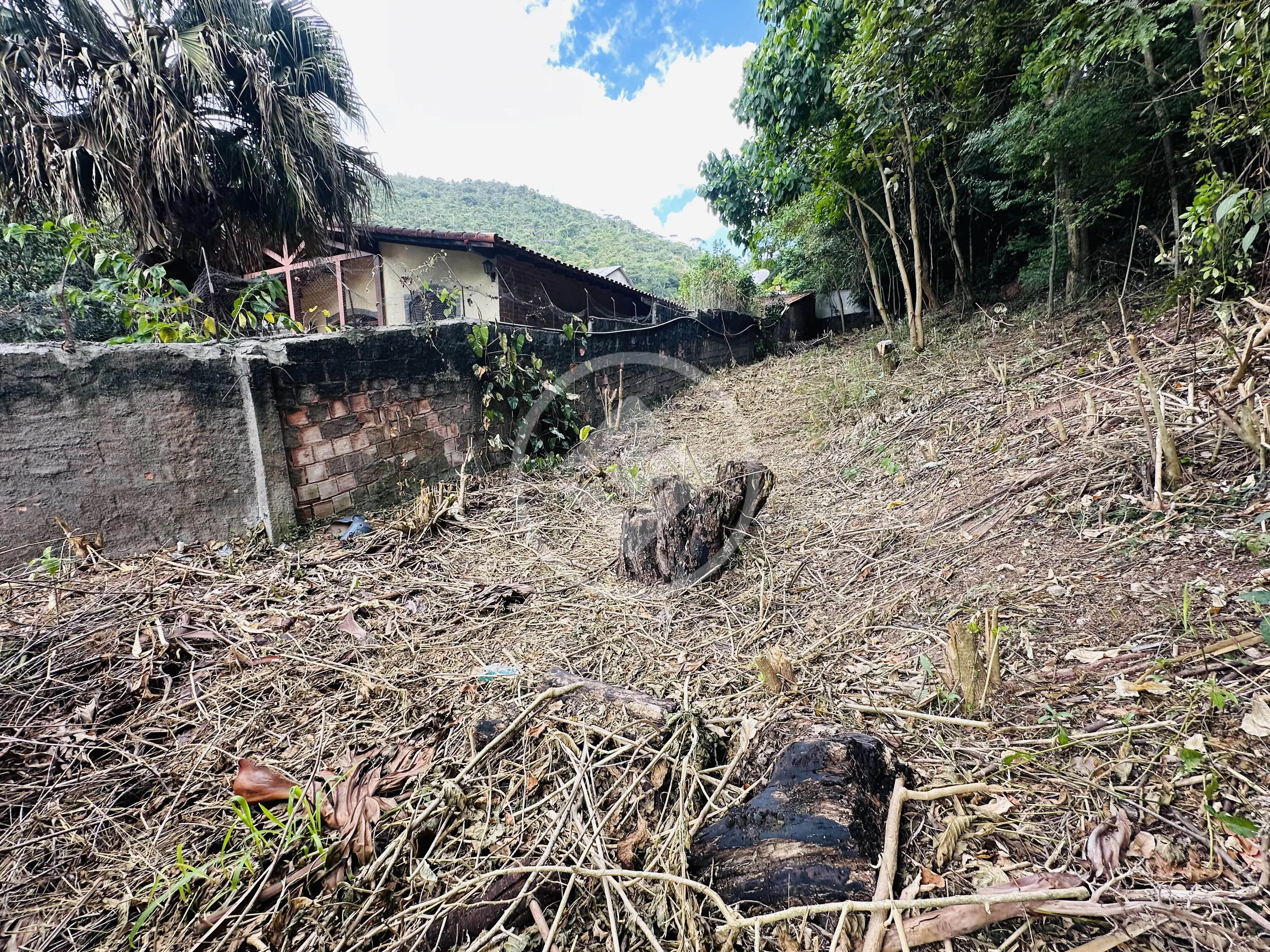 Imagem 6 - Terreno em Prata, Teresópolis - RJ
