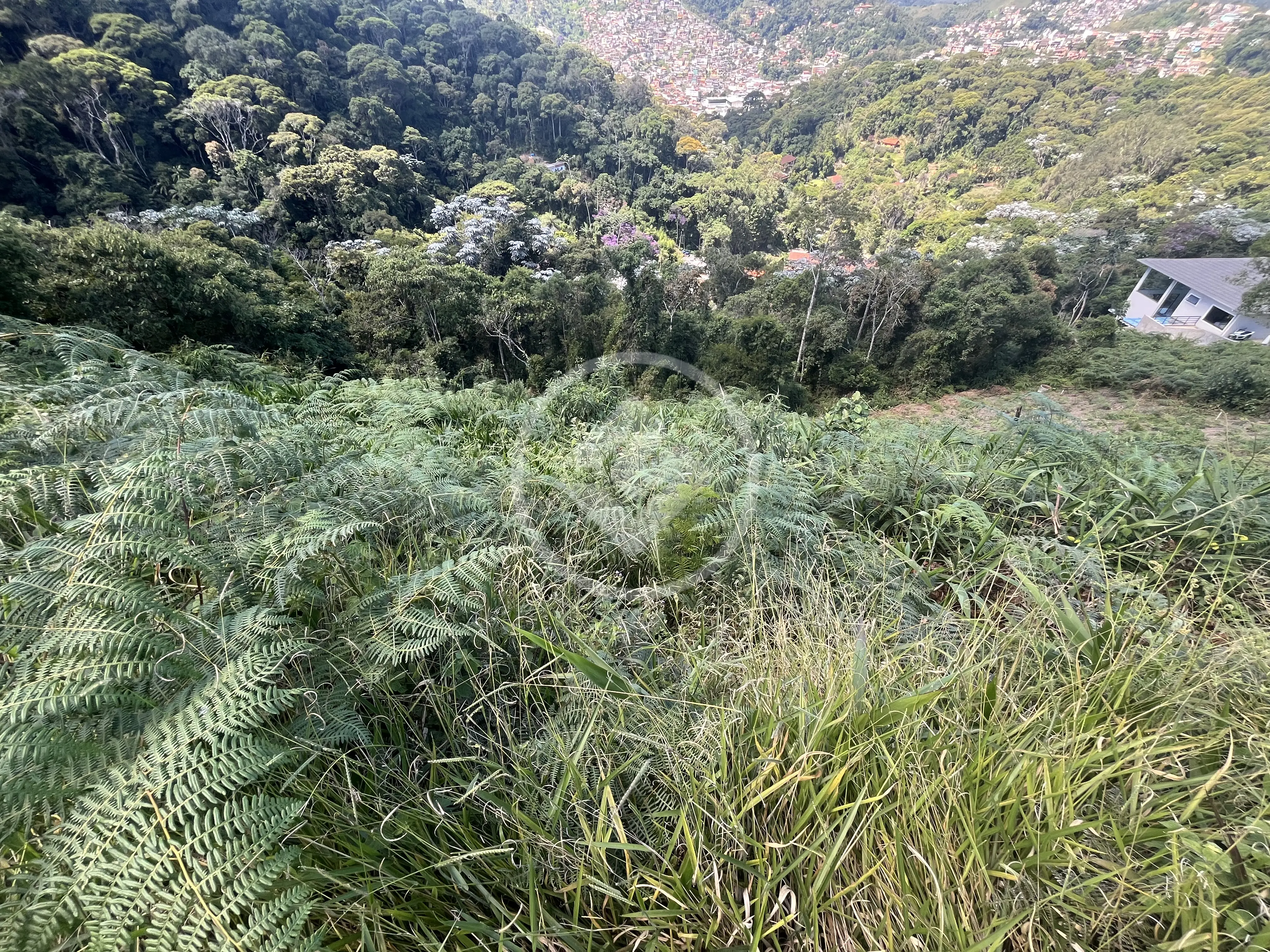Imagem 3 - Terreno Condomínio em Barra do Imbuí, Teresópolis - RJ