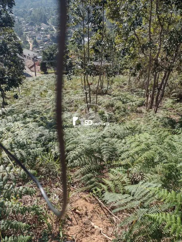 Imagem 4 - Terreno em Albuquerque, Teresópolis - RJ