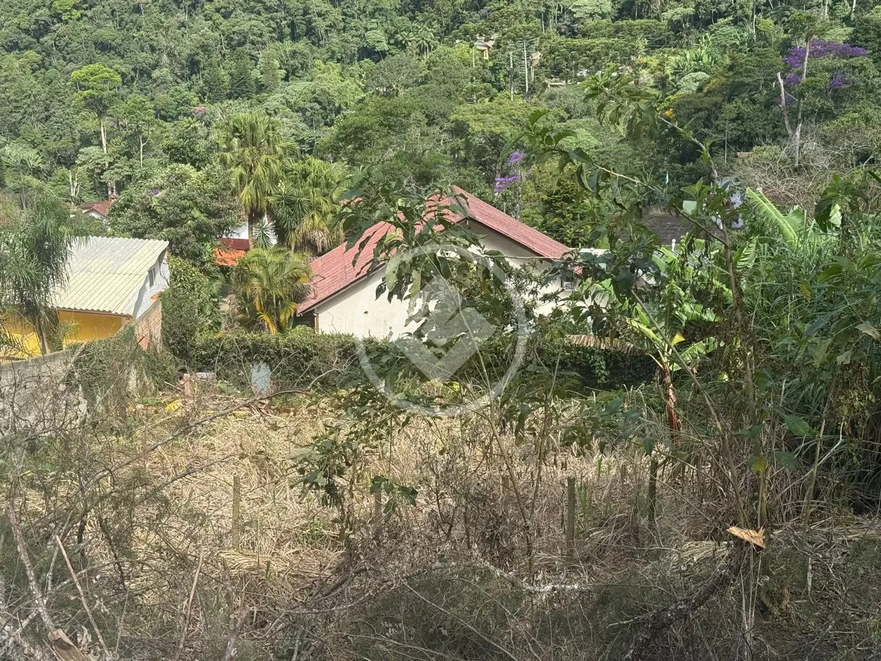 Imagem 1 - Terreno em Cascata dos Amores, Teresópolis - RJ