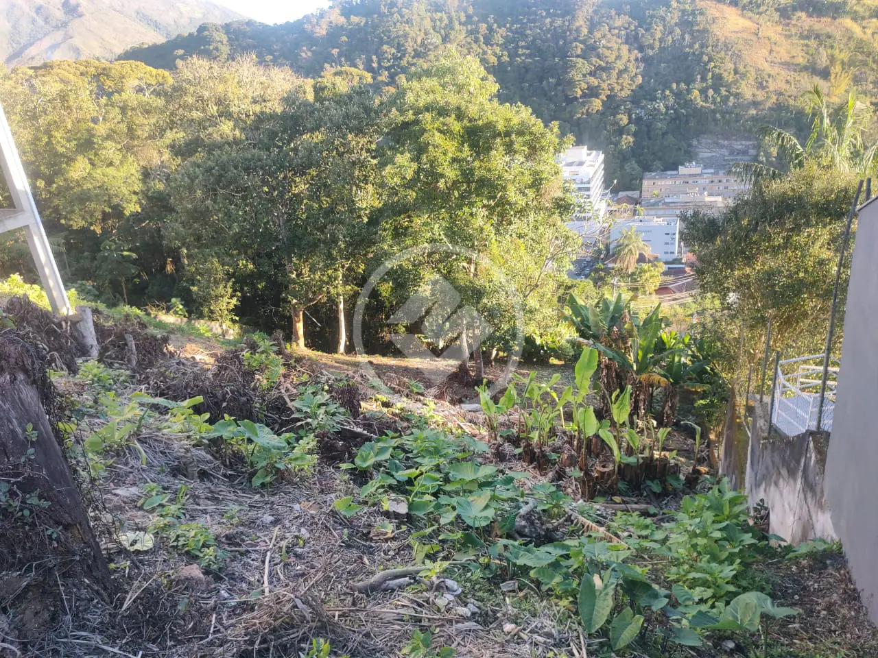 Imagem 5 - Terreno em Parque São Luiz, Teresópolis - RJ
