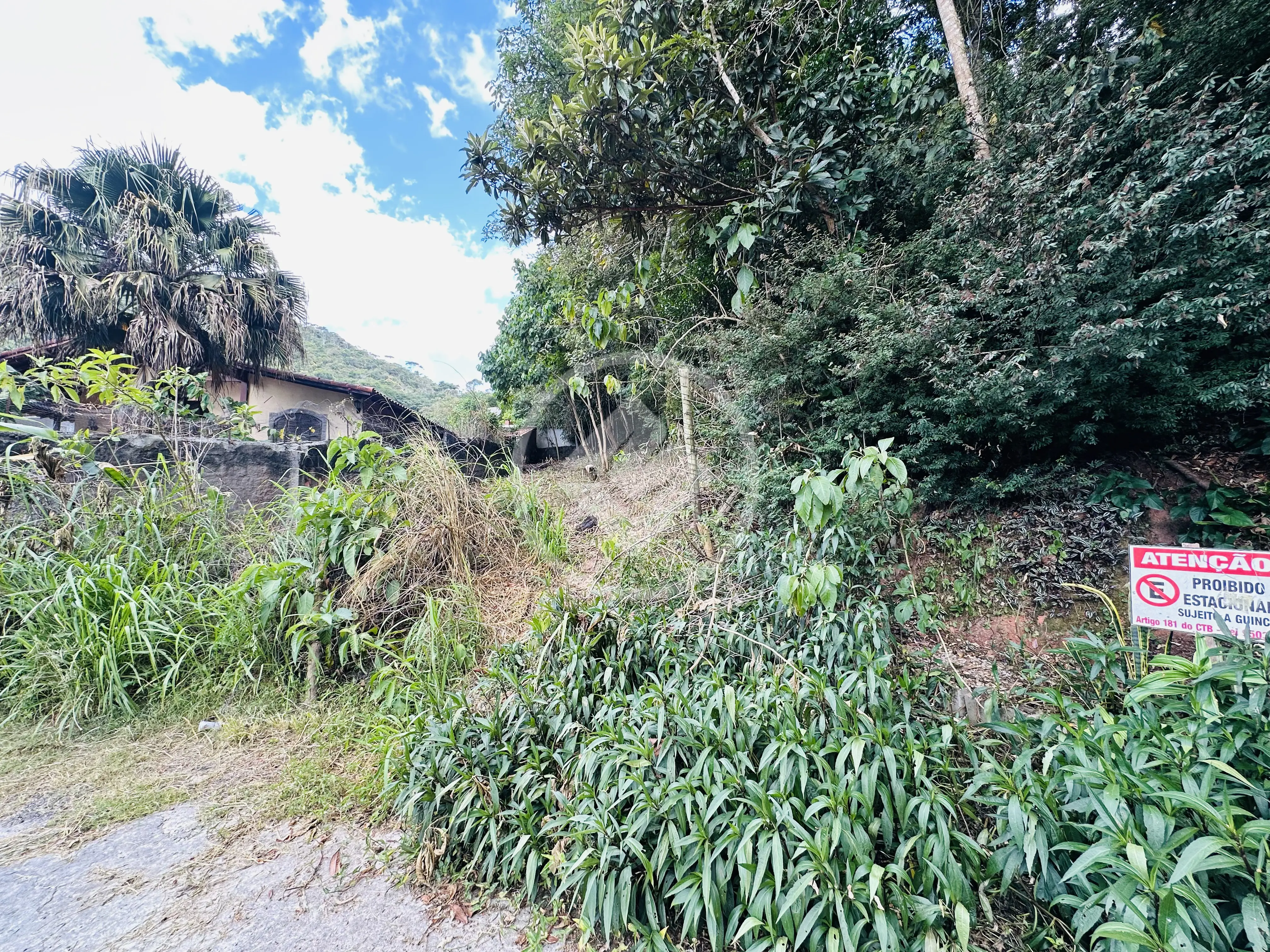 Imagem 3 - Terreno em Prata, Teresópolis - RJ