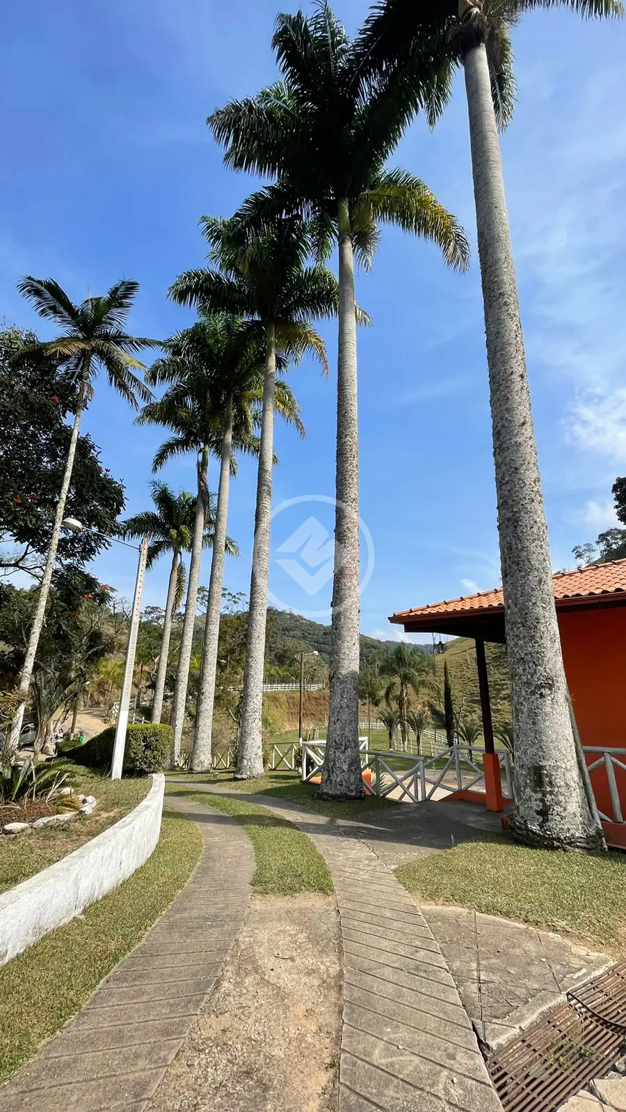 Imagem 6 - Fazenda em Vila do Pião, Sapucaia - RJ