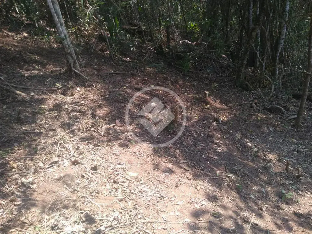Imagem 3 - Terreno Condomínio em Pessegueiros, Teresópolis - RJ