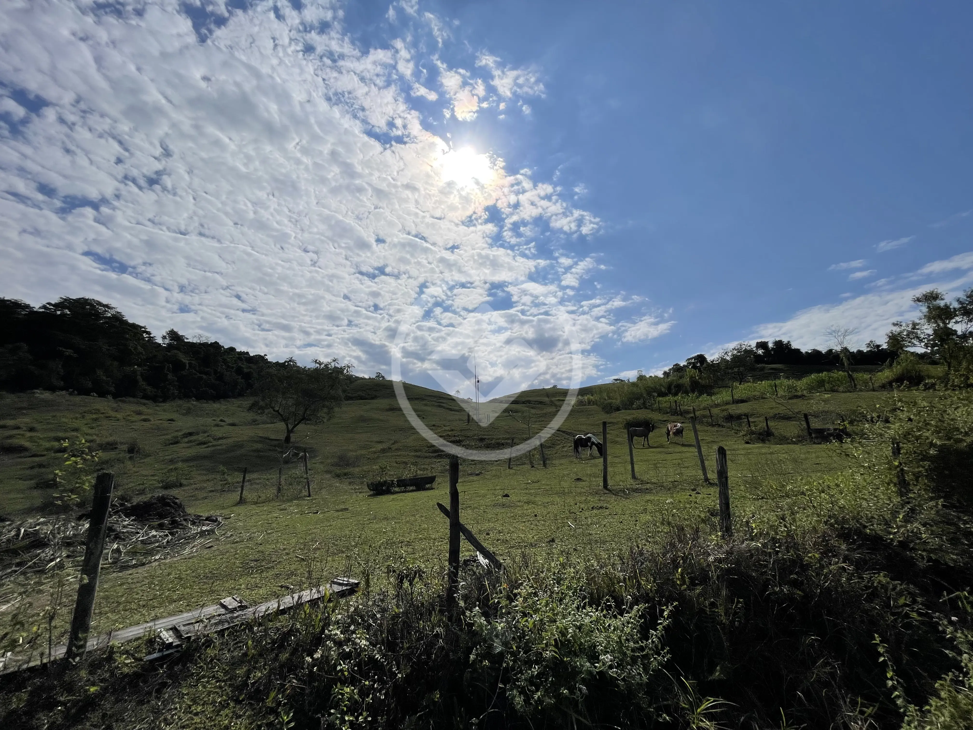 Imagem 2 - Fazenda em Maraporã, Cachoeiras de Macacu - RJ