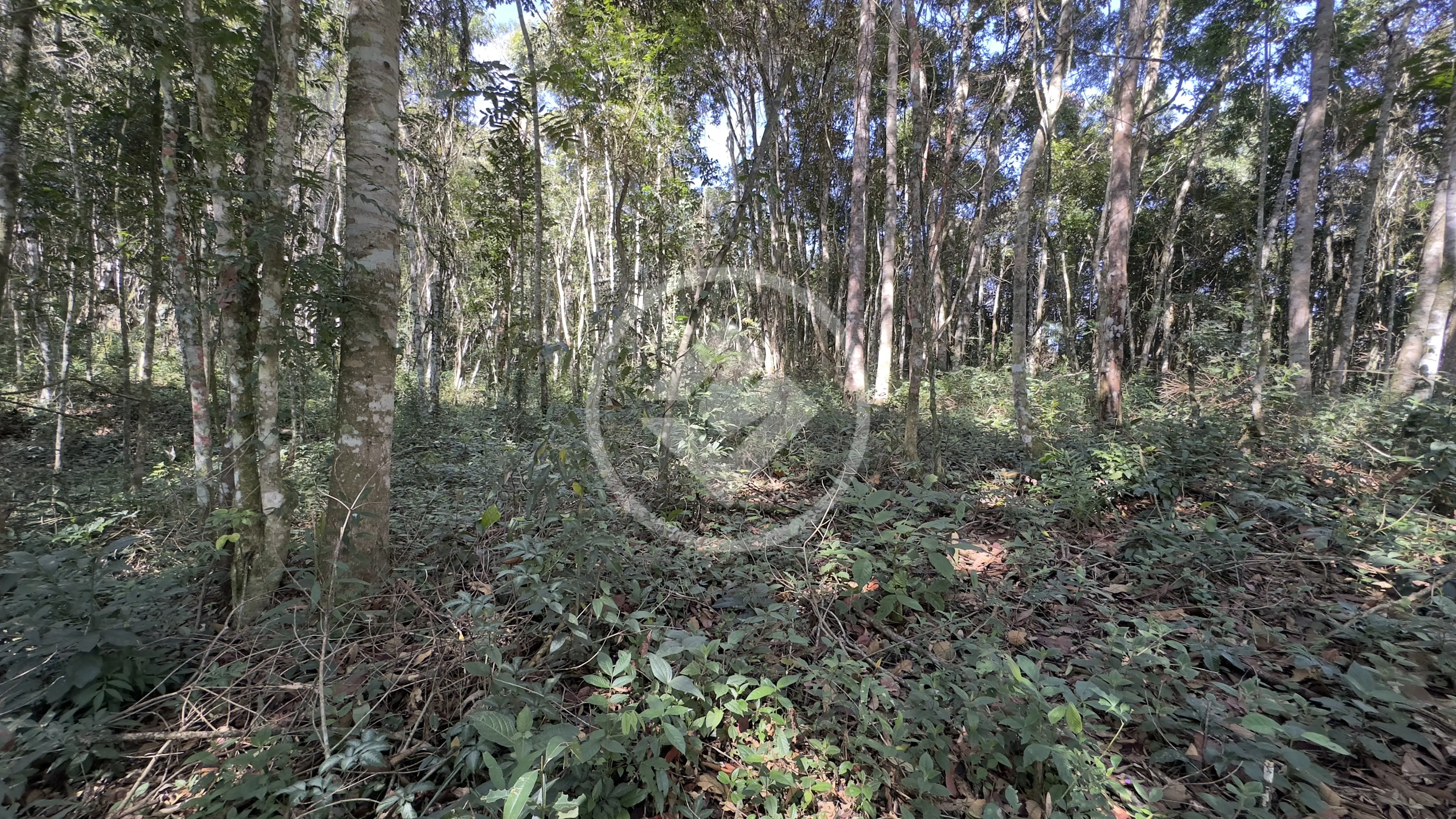 Imagem 1 - Terreno Condomínio em Fazenda Boa Fé, Teresópolis - RJ
