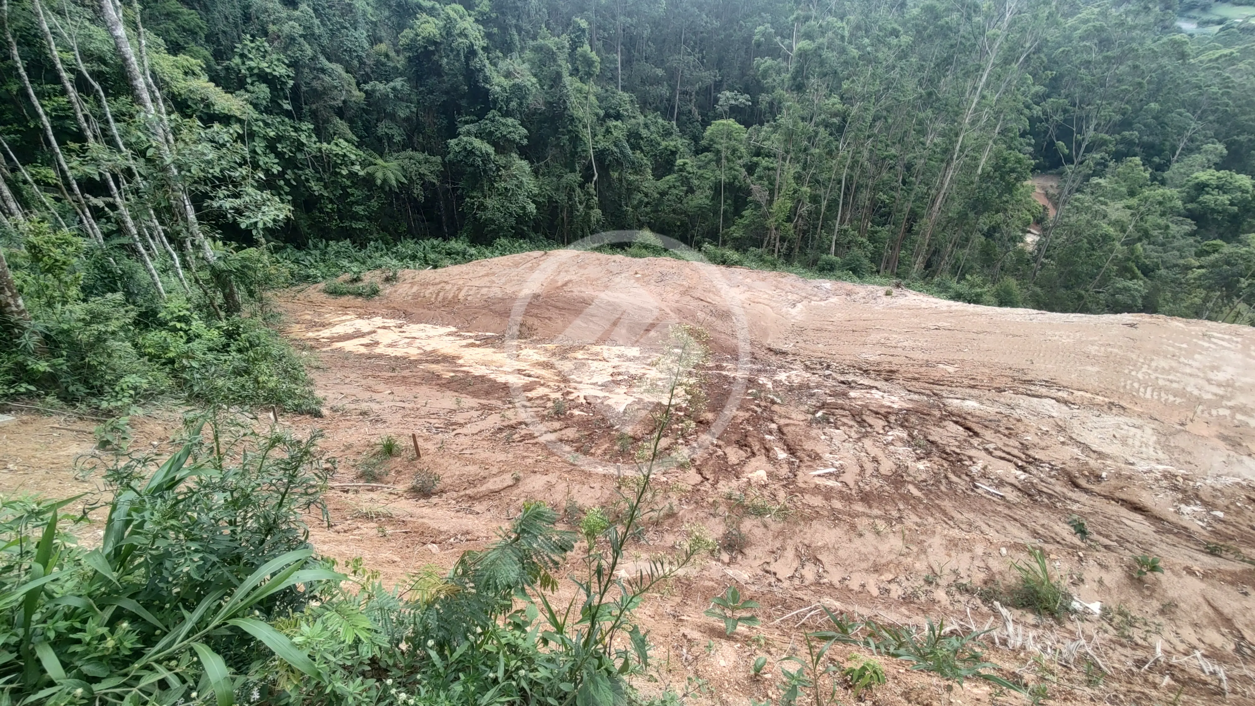 Imagem 1 - Terreno Condomínio em Itaipava, Petrópolis - RJ