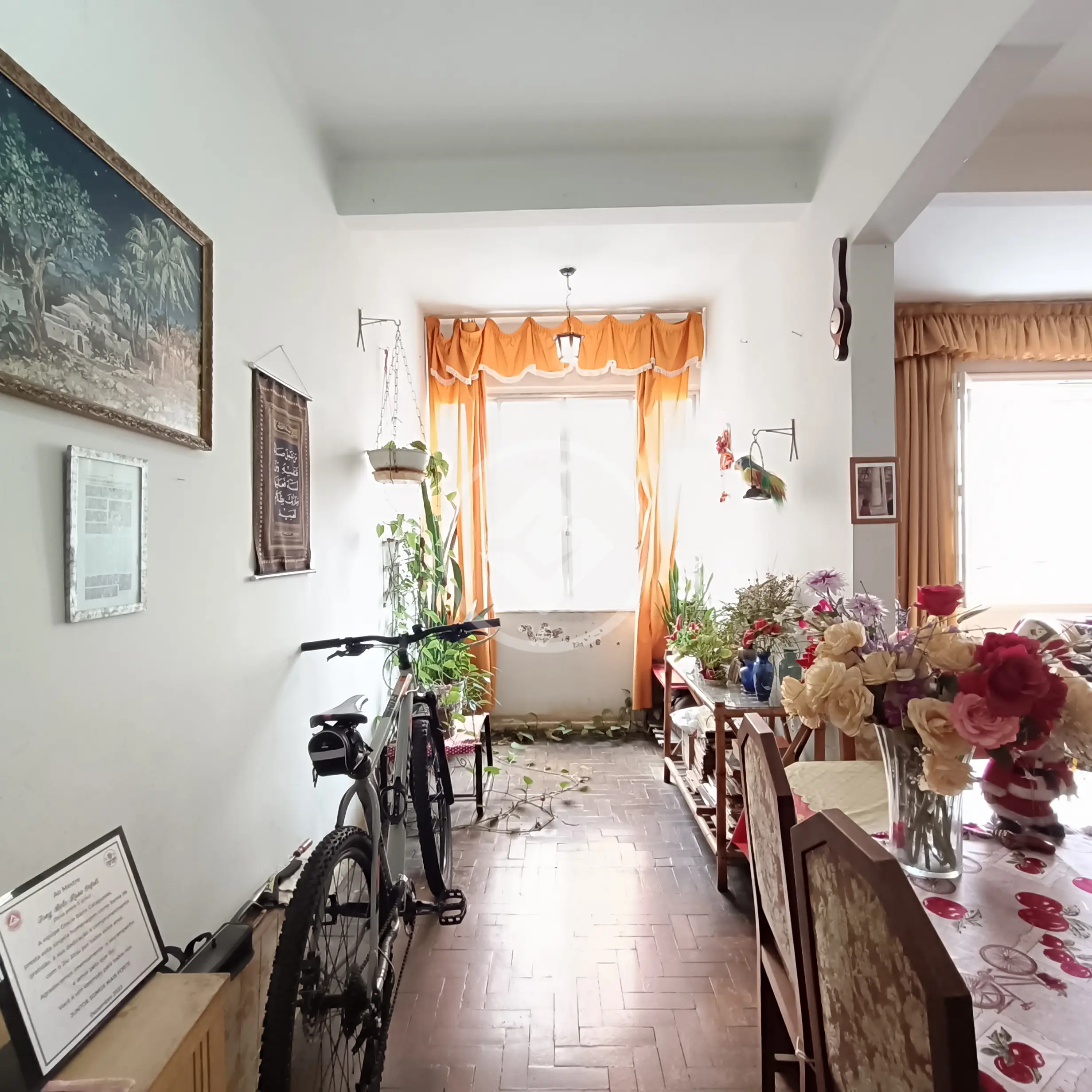 Imagem 5 - Apartamento em Alto, Teresópolis - RJ