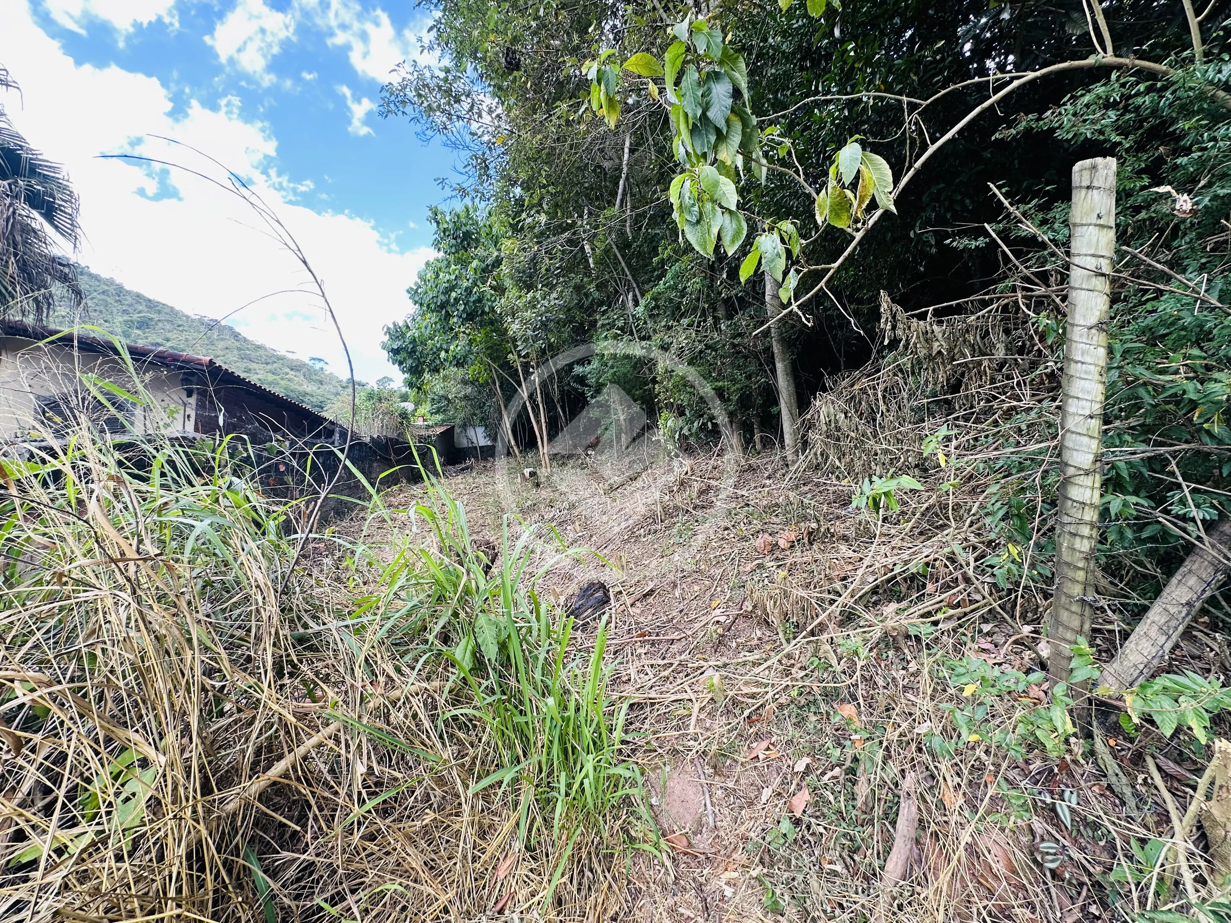 Imagem 4 - Terreno em Prata, Teresópolis - RJ