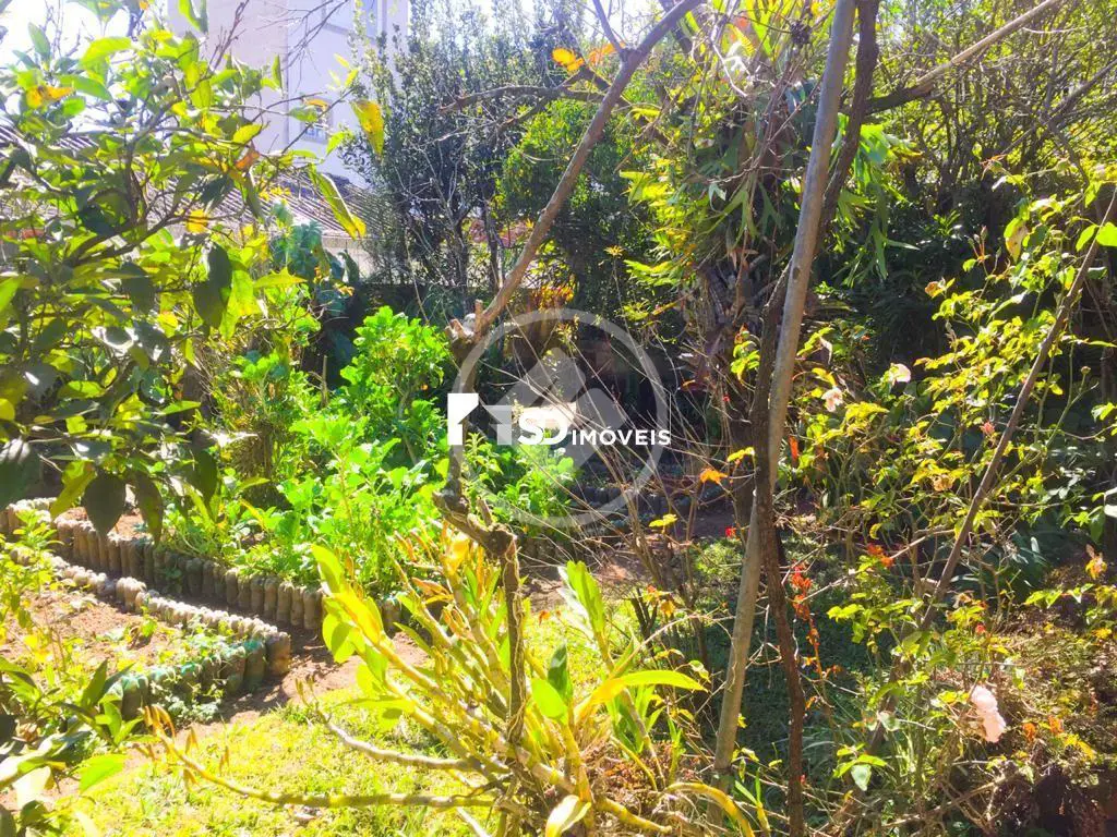 Imagem 6 - Casa em Tijuca, Teresópolis - RJ