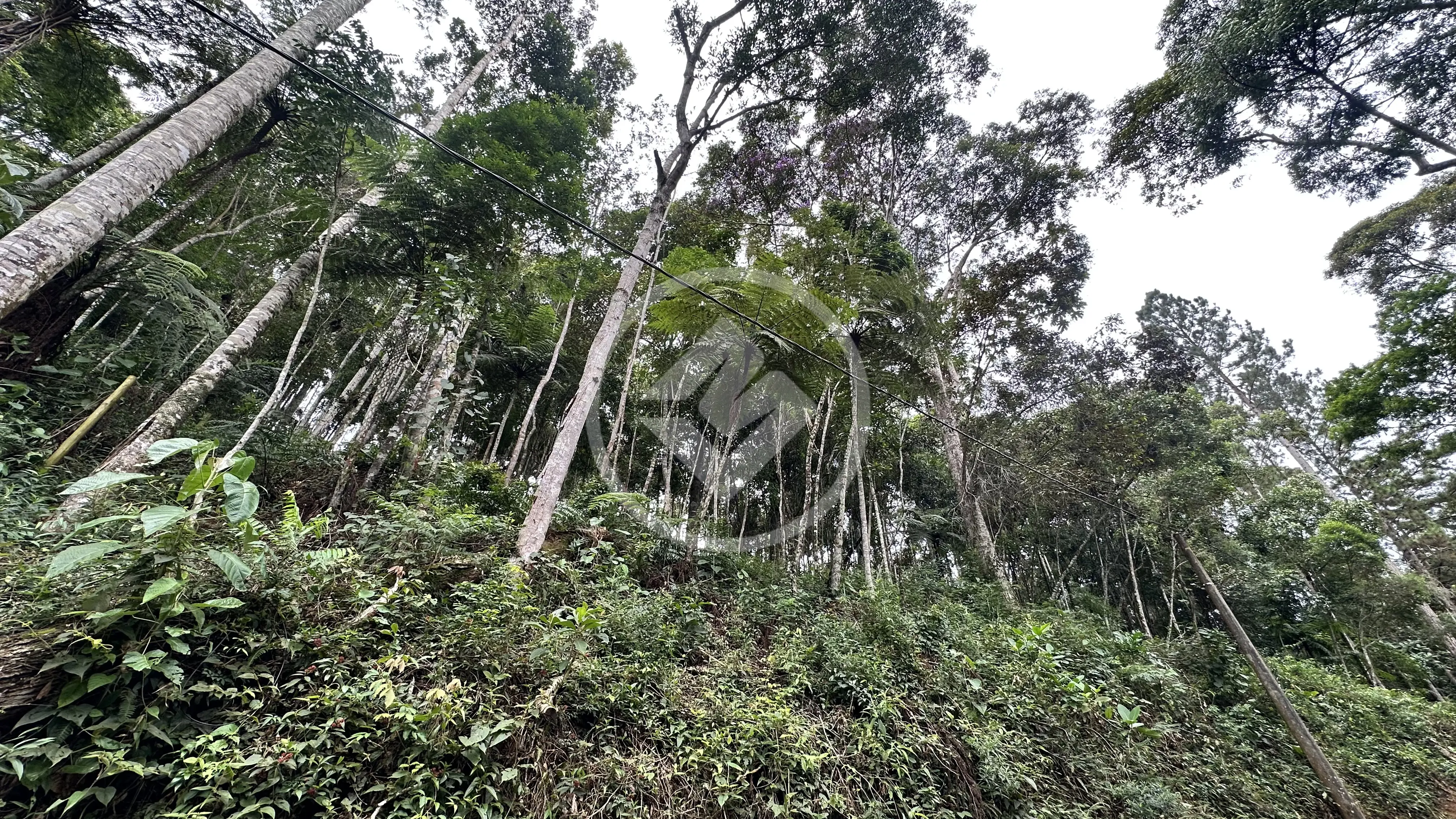 Image 16 - Terreno Condomínio em Parque do Imbui, Teresópolis - RJ