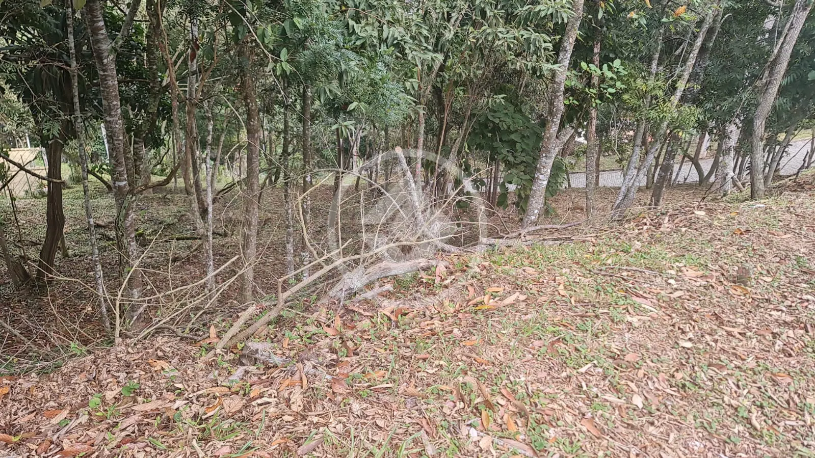 Terreno Condomínio Vargem Grande, Teresópolis - RJ — foto 2