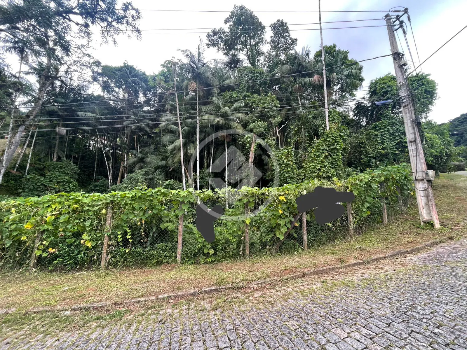 Imagem 3 - Terreno em Carlos Guinle, Teresópolis - RJ